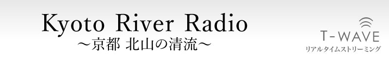 京都北山の清流